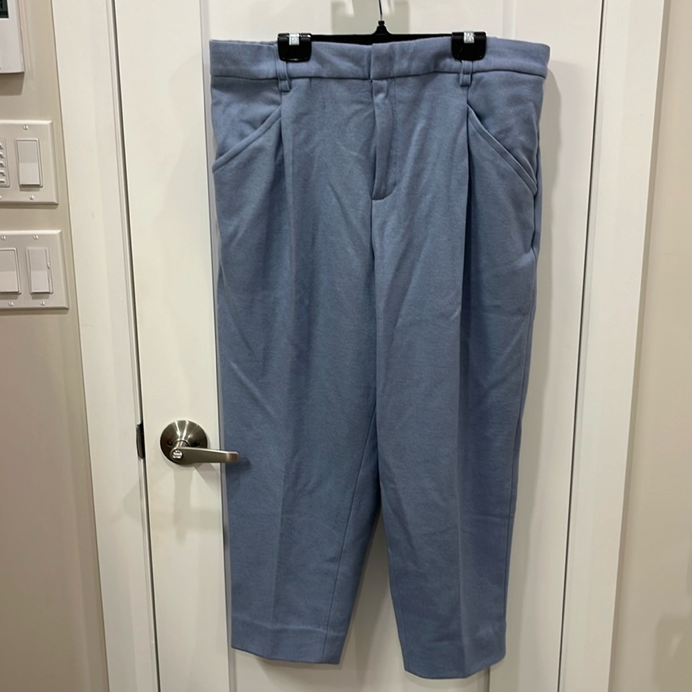 Banana Republic Light Blue Tailored Cropped Trousers